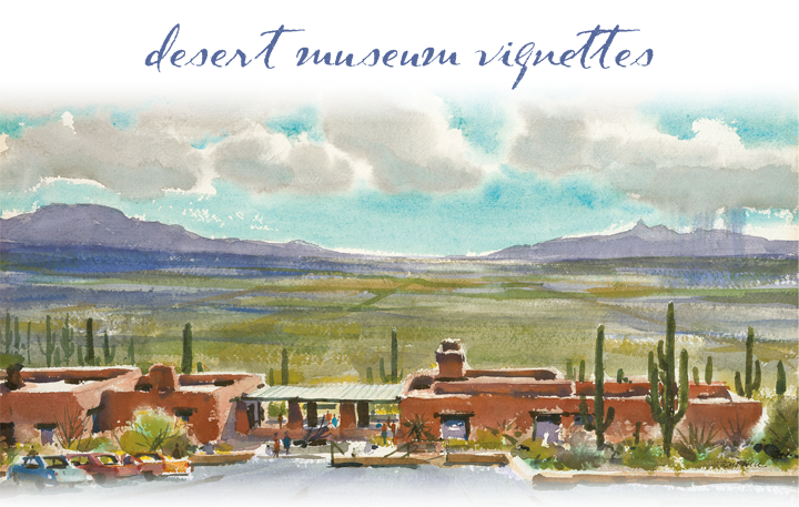 Image courtesy of Tom Hill - Mountain House Desert Museum Vignettes