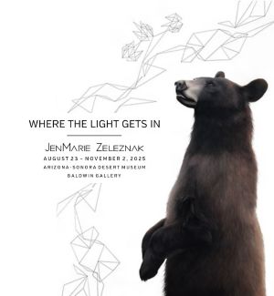 A black bear surrounded by a silver geometric graphic with text on screen that reads 