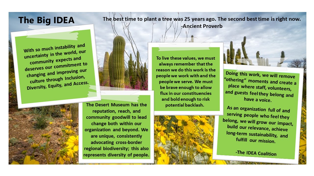 A desert scene with four green boxes. At the top are the words